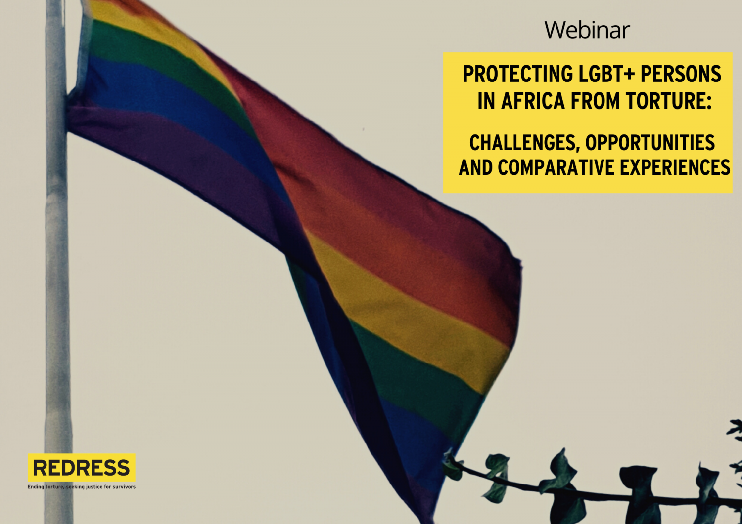 Flyer of the webinar Protecting LGBT+ Persons in Africa from Torture