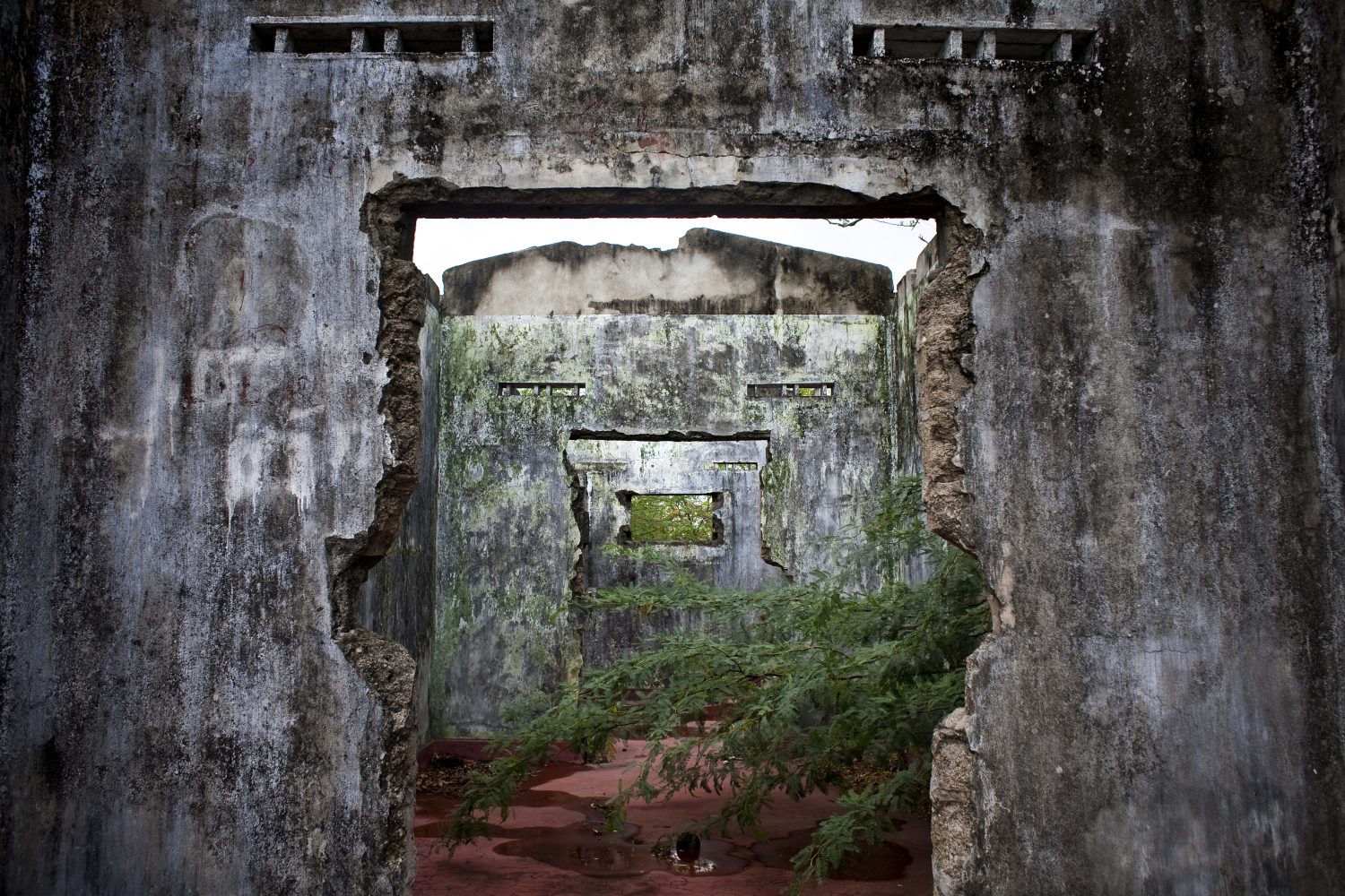 Abandoned homes in Sri Lanka