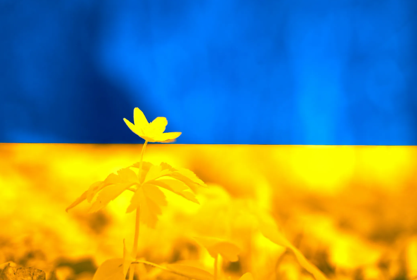 Reparation for Victims of the War in Ukraine: Administrative Reparation Schemes in Ukraine: Implementation, Gaps, and Prospects