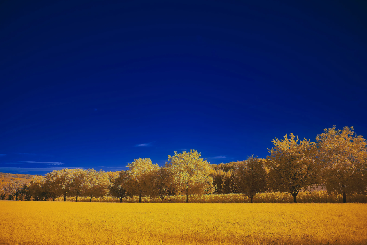 Asset Recovery for Ukraine – The Long Road